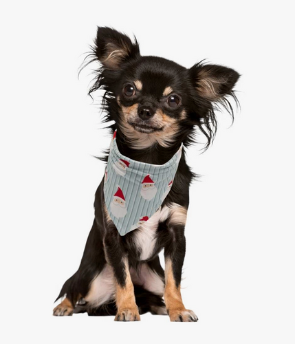 Jolly Santa Dog Bandana S/M