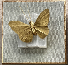 Load image into Gallery viewer, Butterfly Crystal Art