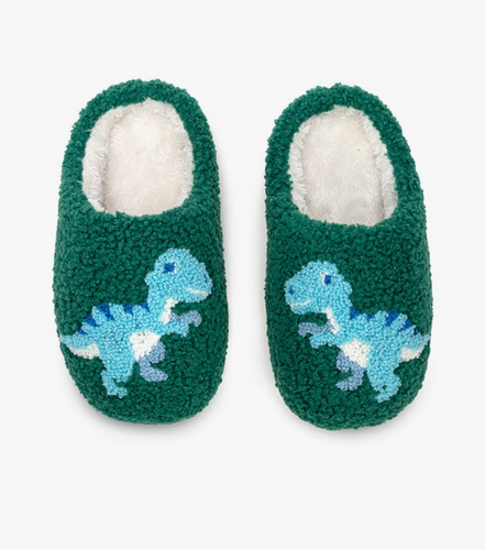 Kids Dino Slippers