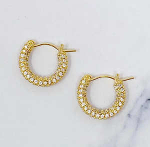 Elegant Shine Hoop Earrings