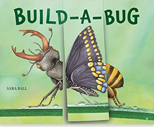 Build-A-Bug Book