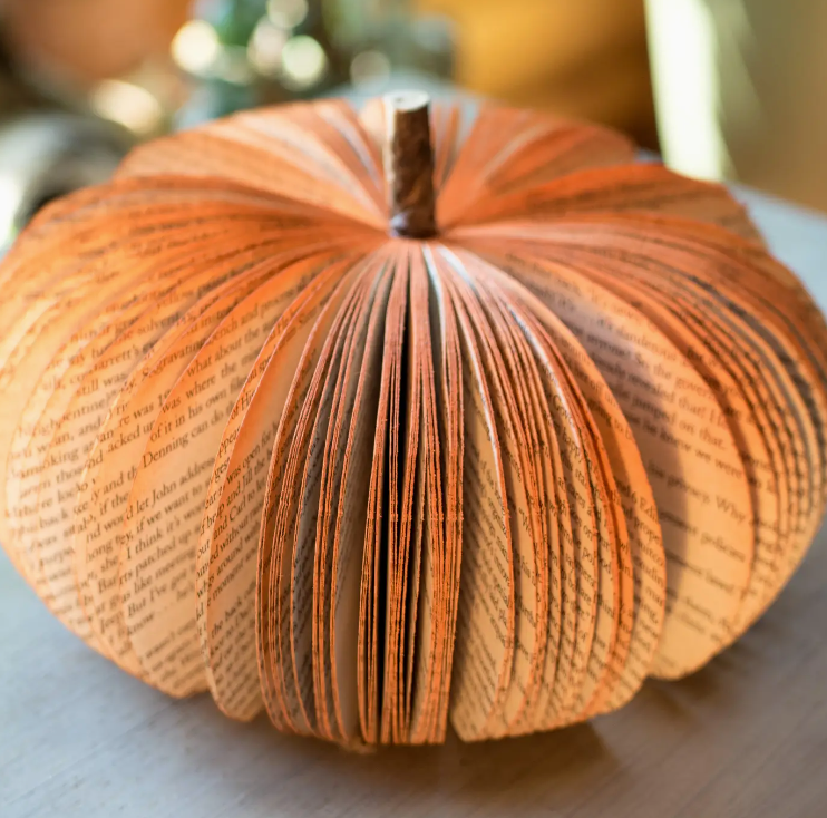 Book Pumpkin/Medium