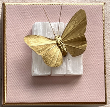 Load image into Gallery viewer, Butterfly Crystal Art