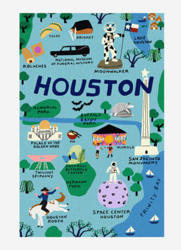 Houston Dish Towel