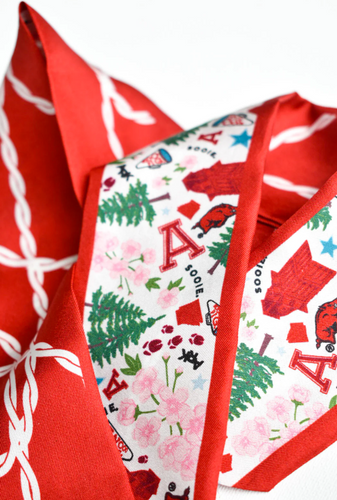 Arkansas Skinny Scarf