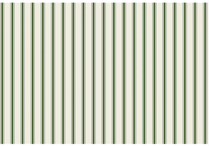 Green Ribbon Striped Placemat/24 Sheets