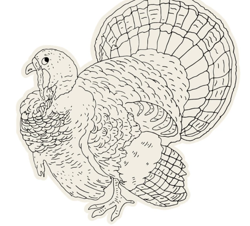 Coloring Turkey Placemat