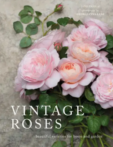 Vintage Roses Book