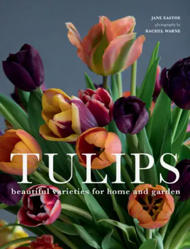 Tulips Book