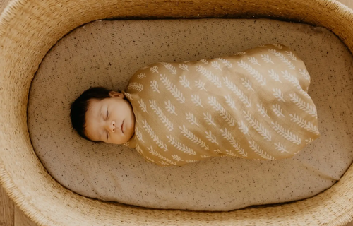 Almond Wheat Baby Blanket