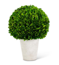 Load image into Gallery viewer, Preserved Boxwood Balls