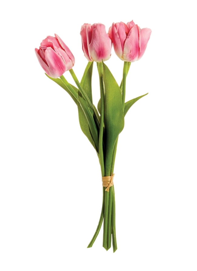 Dutch Tulips 15” bundle of 6